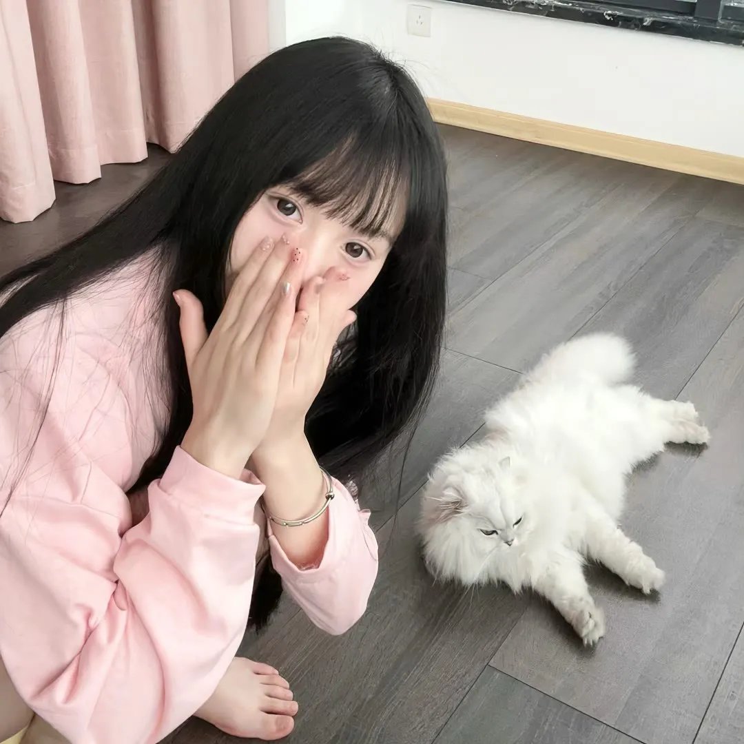 绿绮琴挑